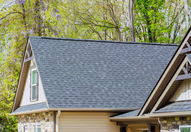 Best Solar Panel Roofing Installation  in Marion, WI